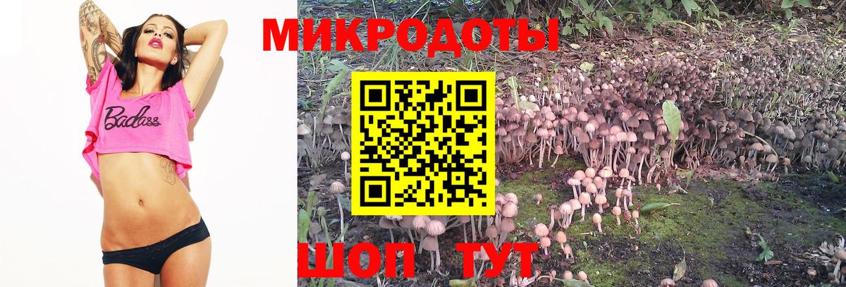 Псилоцибиновые грибы Magic Shrooms  Вход с VPN  наркотики  Югорск 