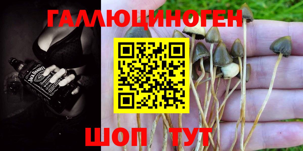 Псилоцибиновые грибы мухоморы Югорск